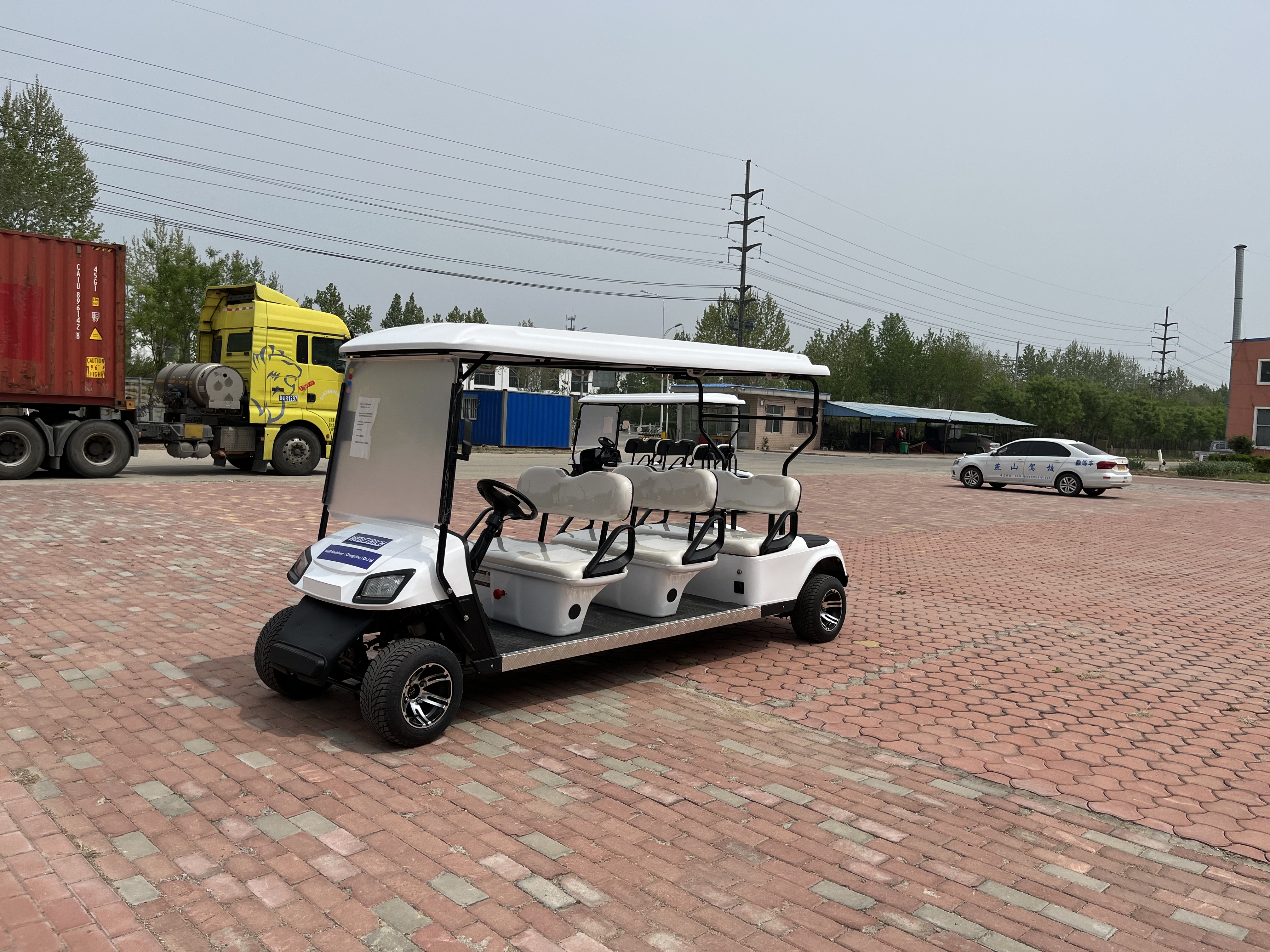 6 Seats Electric Golf Cart